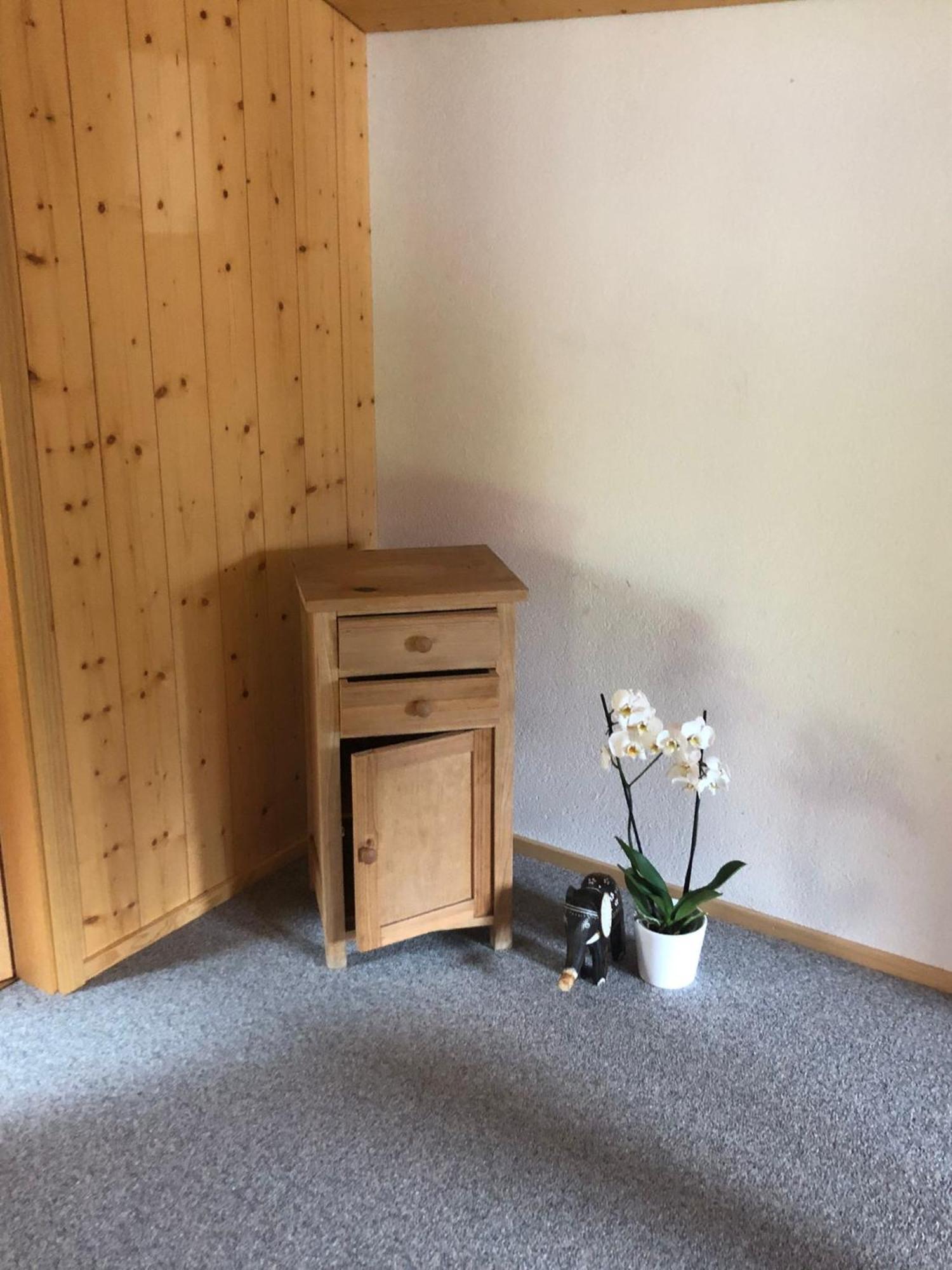 Mountain Oasis Apartment Kandersteg-Adelboden Kandergrund Luaran gambar
